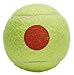 Tourna Orange Dot Low Compression Transition Tennis Balls