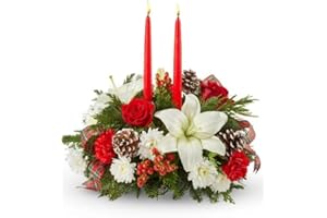 Brilliant Bouq - Online Christmas Flowers & Gifts - The Shopstation Same Day Christmas Flower Delivery -Send Christmas Flowers Bouquets,Centerpiece,Gifts
