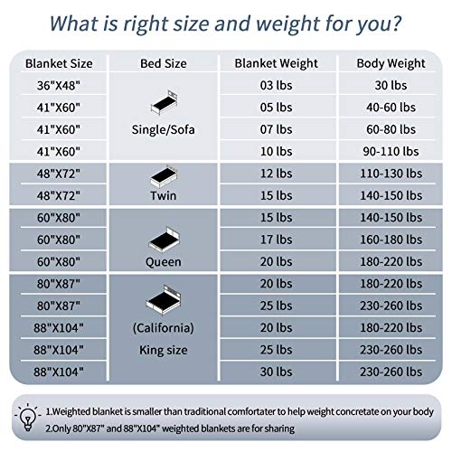 Smart Queen Weighted Blanket King Size Bed (25 lbs, 80"x 87") Heavy