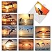 The Best Card Company - 10 Blank Animal Cards Boxed (4 x 5.12 Inch) - Assorted Pets, Zoo, Wildlife Cards for Kids - Sunset Dolphins M6460OCB-NB