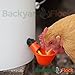 10 Pack Automatic Poultry Chicken Cup Waterers - Drinker Cups for Watering System (10 Pack Cups)