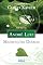 Livro Meditações Diárias - André Luiz