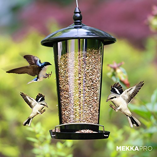 MEKKAPRO Dual Outdoor Hanging Wild Bird Seed Feeder, Weather-Proof, Birds in Your Backyard - Thumbnail 4