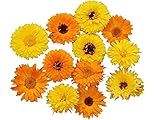 Calendula Pacific Beauty Flower Mix