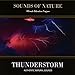 Thunderstorm (Sounds of Nature)