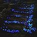200 Pcs Glow in the Dark Garden Pebbles Stone for Walkways Yard Aquarium Gravel Fish Tank and Garden Driveway,Powered By Light And Solar(Blue)