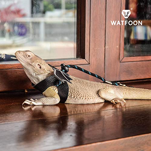 WATFOON Adjustable Bearded Dragon Lizard Comfort Leather Leash Harness with Cool Wings for Reptiles Amphibians Leopard Gecko Anole and Other Small Pet Animals (L, Blue)