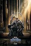 Black Panther 24x36 Movie Poster