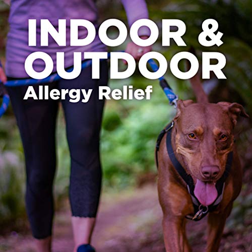 Amazon Basic Care All Day Allergy Medicine; Fexofenadine Hydrochloride