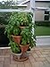 Natures Distributing 3 Tier Stacking Planter-Flower, Herb, Stackable Garden, Vegetable-Self-Watering-Indoor/Outdoor (Terracotta)