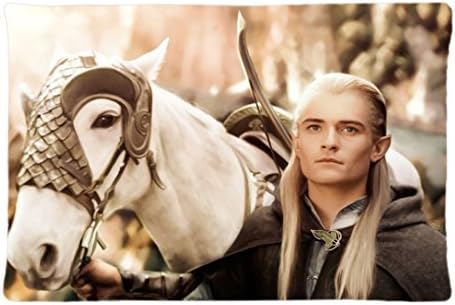 Surful Gift Pillow Case ~ Legolas Painting ~ Image (One side) Custom 30X20 inches Pillowcase