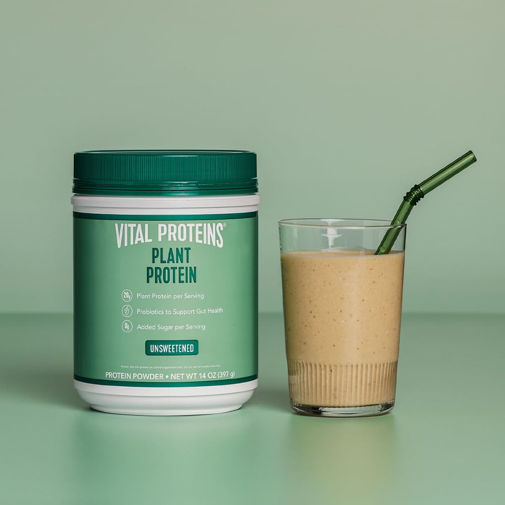 Vital Proteins Vegan Protein Powder – 20g Plant Based Protein with Chickpea – 1B CFU Probiotic for Gut Health, No Added Sugar – Unsweetened, 14 oz