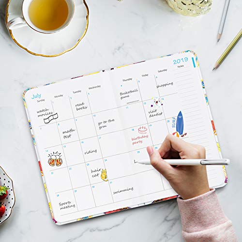 Cabbrix 2019-2020 Planner Academic Year Daily Weekly & Monthly Calendar Planner, Hardcover, Feather Pattern (5.5"x 8")