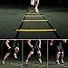 AIQI Speed & Agility Training Ladder for Improving Speed, Agility, Fitness, Leg Strength and More with Black Carrying Bag (Yellow, 12-Rung 20FT)