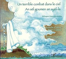 Un  terrible combat dans le ciel