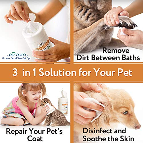 chlorhexidine dog paws