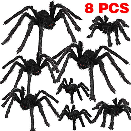 spooky spiders