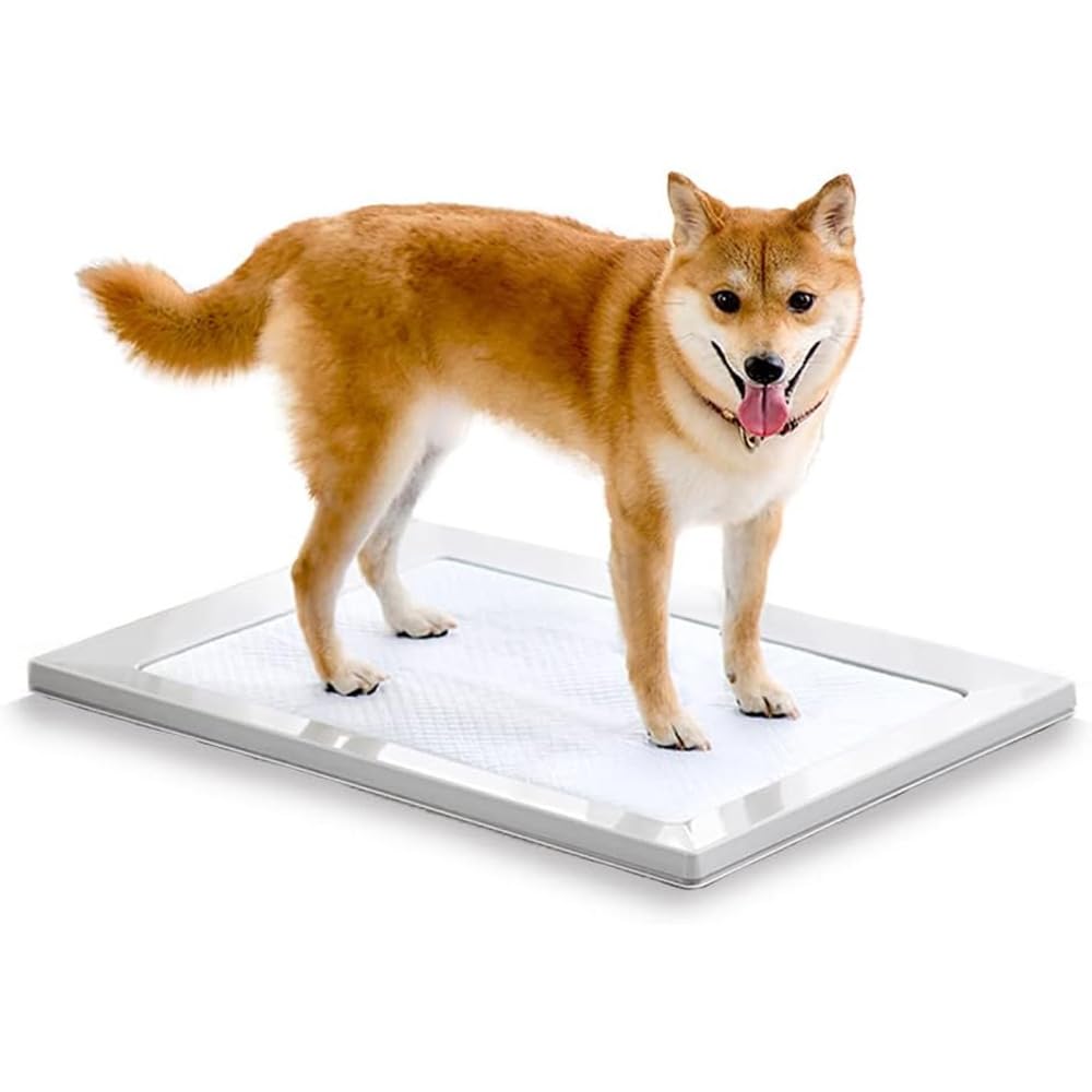 アイリスオーヤマ 犬 トイレ しつけ おしゃれ スクエアドッグトレー 挟むだけ マグネット レギュラー ホワイト 水洗い可商品画像