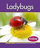 Ladybugs (Insects)