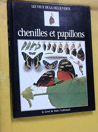 De la chenille au papillon.