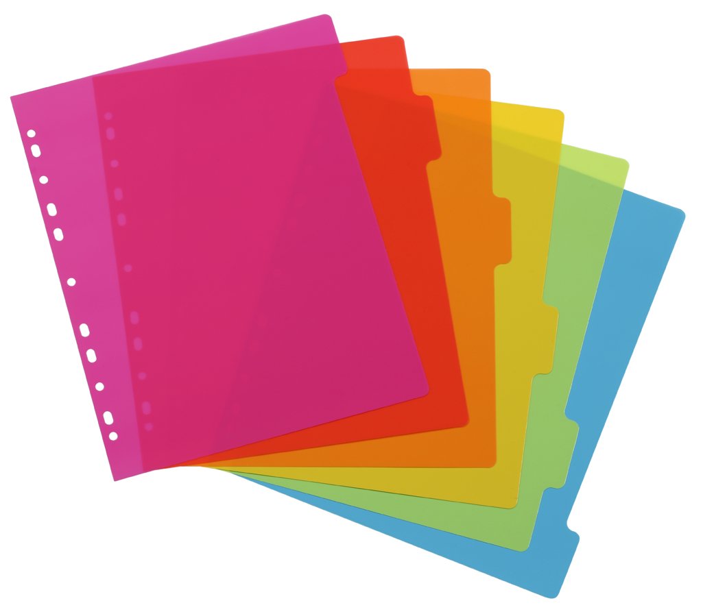 VIQUEL Set of 6 Polypropylene Dividers A4 Maxi Neon Multi-Coloured