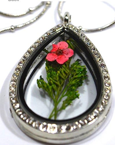 Flower Plant Water Drop Glass Living Locket Necklace with Gift Box