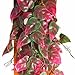 Penn-Plax Reptology Decorative Hanging Terrarium Plant Vines for Reptiles and Amphibians – 12” Length – Green & Red