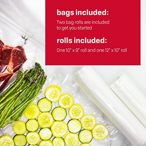 Nesco Deluxe Food VS12 Vacuum Sealer, 130 Watts, Kit Bags & Viewing