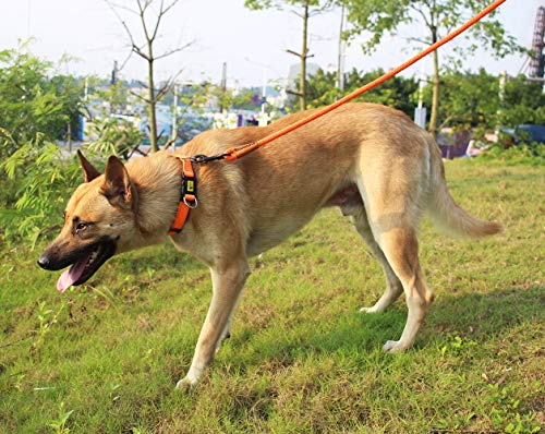 lynxking Braided Rope Dog Lead Leashes Pet Leash Dog Traction Rope Leashes Dog Walking Training Lead for Medium Large Dogs (4Feet Purple) - Thumbnail 3