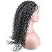 Dreambeauty 13X4 Lace Front Human Hair Wig Deep Curly 100% Brazilian Virgin Remy Human Hair Glueless Lace Front Wig with Baby Hair for Black Women Natural Black Color 16 inch