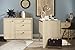 South Shore Interface Storage unit with File Drawer, Natural Maple