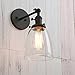 PERMO Industrial Vintage Single Sconce with Oval Cone Clear Glass Shade 1-Light Wall Sconce Wall Lamp (Black)