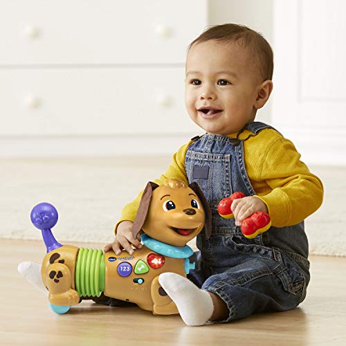 VTech Rattle & Waggle Learning Pup,Multicolor Pricepulse