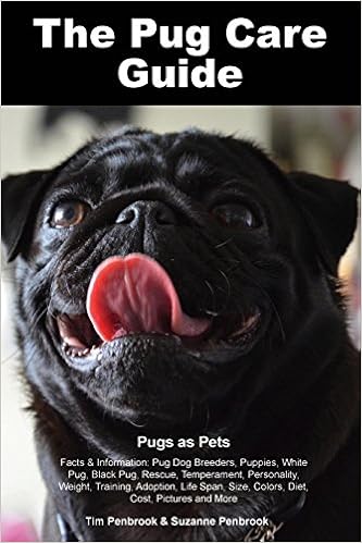 pug dog price in amazon