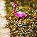 2 Pcs Flamingo Ground Spike Lights Solar Powered Garden Light Waterproof Park Decorative Lawn Lamp Pathway Outdoor Yard Walkway (Solar Flamingo)