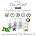 Natural Deodorant Stick Aluminum Free Lavender 2.9 oz Healthy Deodorant | GMO-Free | 100% Non-Toxic Deodorant | All Day Protection | Non Irritating | Non Sticky | Great Smelling Lavender Scent
