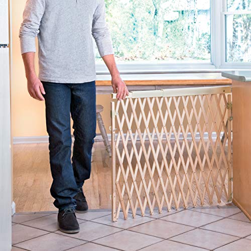 evenflo room divider gate