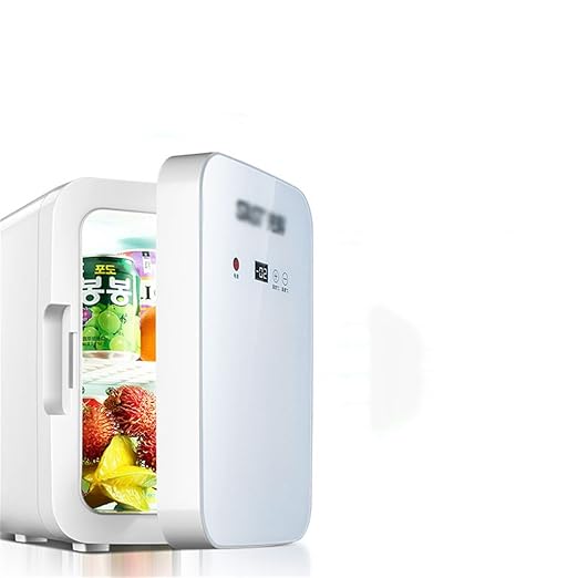 8L 12V DC 220V AC refrigeración Refrigerador Calefacción Mini ...