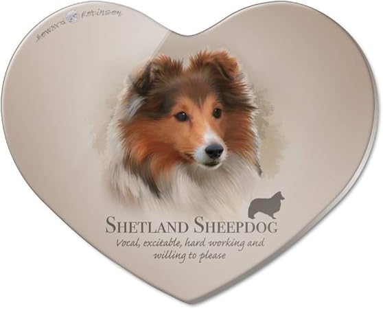 Race De Chien De Berger Des Shetland Acrylique Cœur
