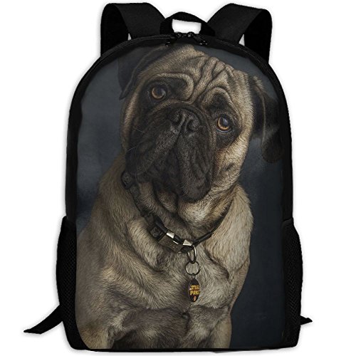 The 10 best pug backpack for adults for 2019