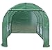 BenefitUSA New Hot Green House Larger Walk in Outdoor Plant Gardening Greenhouse Cover
