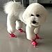 4pcs Pet Dog Anti-Slip Rain Snow Boots Footwear Puppy Cats Thick Warm Socks (S, Rose)
