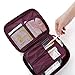Comicfs Clear Cosmetic Makeup Bag Toiletry Travel Kit Organizer with Comicfs cleaning cloth (Wine Red)