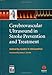 Cerebrovascular Ultrasound in Stroke Prevention and Treatment by Andrei V. Alexandrov, James C. Grotta