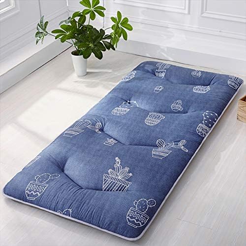 RYQS Student Dormitory Folding Mattress,Portable Thicken Pad Tatami Floor mat For Home Camping-C 100x200cm(39x79inch)