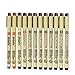 Sakura 12 Pcs Pigment Liner Pigma Micron Ink Fine Line Pen Set 003 005 01 02 03 04 05 08 Graphic 1 & Brush(Red,Blue,Black)