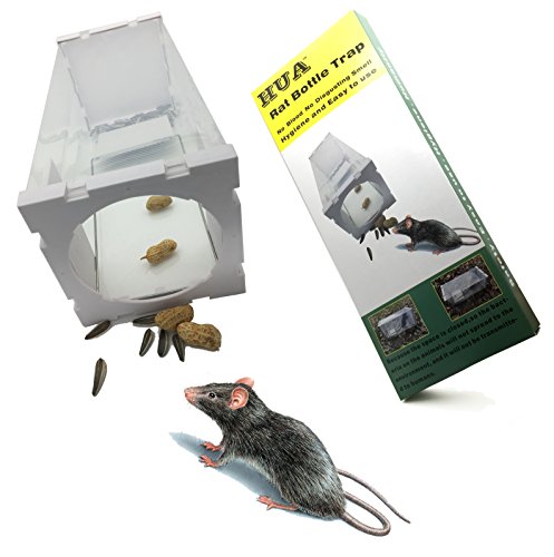 HUA-Rat-Trap-Bottle-for-Skunk--Squirrel-and-Similarsize-Animalseasy-to-Use-Isolate-BacteriaNo-Blood-No-Disgust