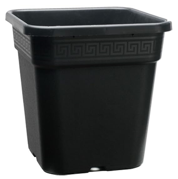 Square Pots11 Litres Amazon.co.uk Garden & Outdoors