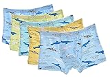 CHUNG Little Boys' Soft Modal Boxer Briefs (Pack of 5)