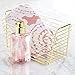 InterDesign Casilla Modern Glass Foaming Soap Pump, Refillable Dispenser Holds 14 oz., for Kitchen, Bathroom, Sink, Vanity, Bedroom, 2.94